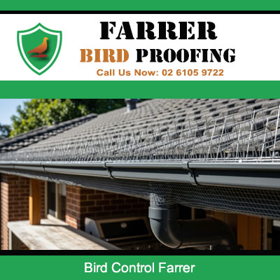 Bird control mesh installed along roof gutters in Farrer Canberra