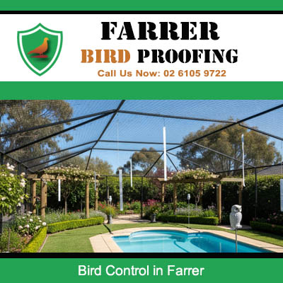 Bird control netting installed over backyard pool area in Farrer