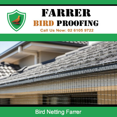 Effective bird netting system fitted to roof eaves in Farrer suburb