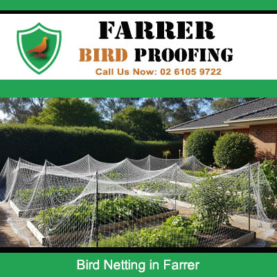 Effective bird netting system covering outdoor garden beds in Farrer suburb