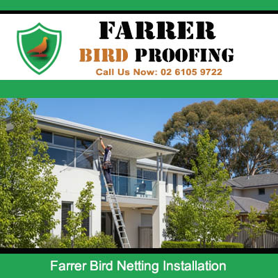 Expert bird netting installation protecting multi level property in Farrer