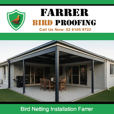 Bird netting installation on residential outdoor alfresco area in Farrer Canberra