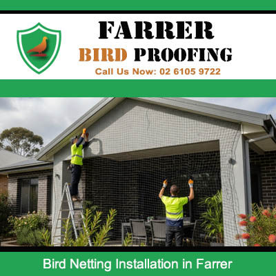 Professional technicians installing bird netting on home exterior in Farrer ACT