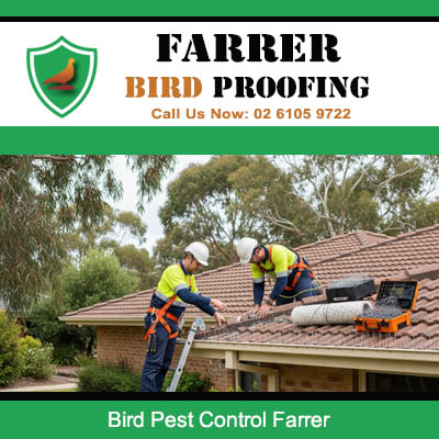 Bird pest control team installing roof protection on home in Farrer Canberra