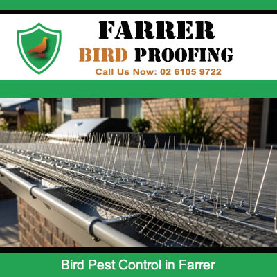 Quality bird pest control spike installation on residential property in Farrer