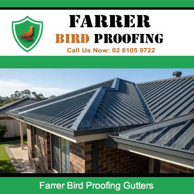 Bird proofing installed on residential roof gutters in Farrer Canberra
