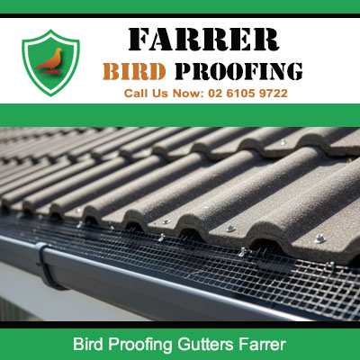 Professional bird proofing gutter fitted to residential roof in Farrer ACT