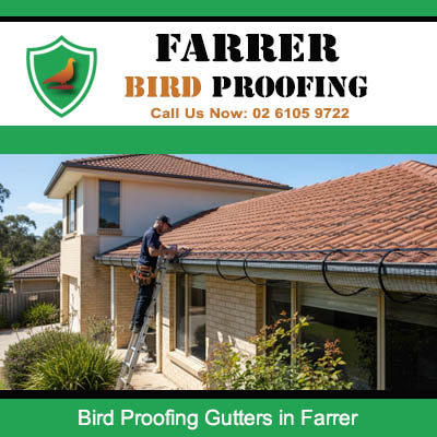 Technician installing bird proofing on residential roof gutters in Farrer