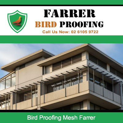 Quality bird protection mesh securing contemporary apartment building in Farrer Australian Capital Territory