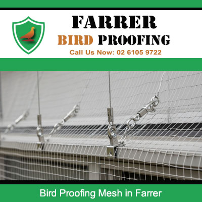Effective bird proofing mesh on commercial property in Farrer suburb