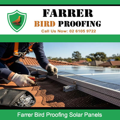 Professional solar panel bird protection system fitted in Farrer ACT