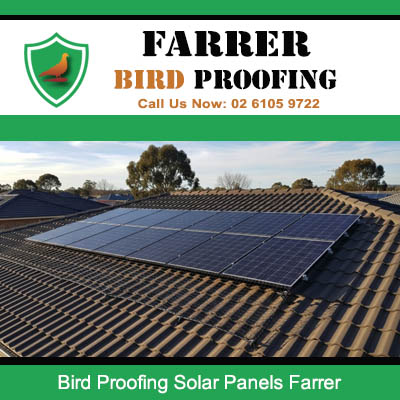 Professional solar panel bird deterrent system installed in Farrer ACT
