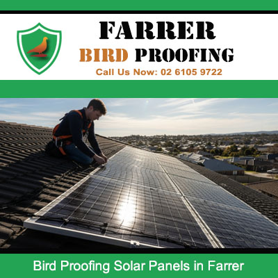 Technician installing bird proofing on solar panels in Farrer Canberra