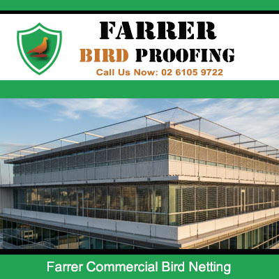 Professional bird exclusion netting for commercial property in Farrer ACT