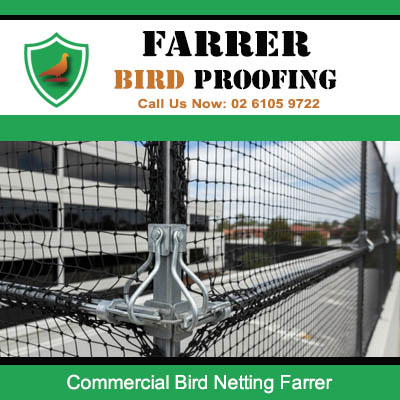 Commercial bird netting mesh installed on business building exterior in Farrer Canberra