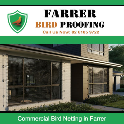 Quality commercial bird proofing netting on business building exterior in Farrer Australian Capital Territory
