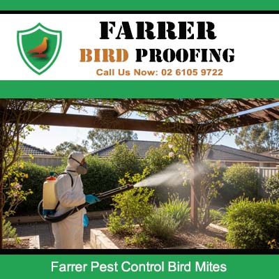 Pest control treatment for bird mites in residential garden in Farrer Canberra