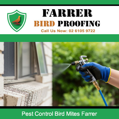Professional bird mite extermination service for residential properties in Farrer ACT